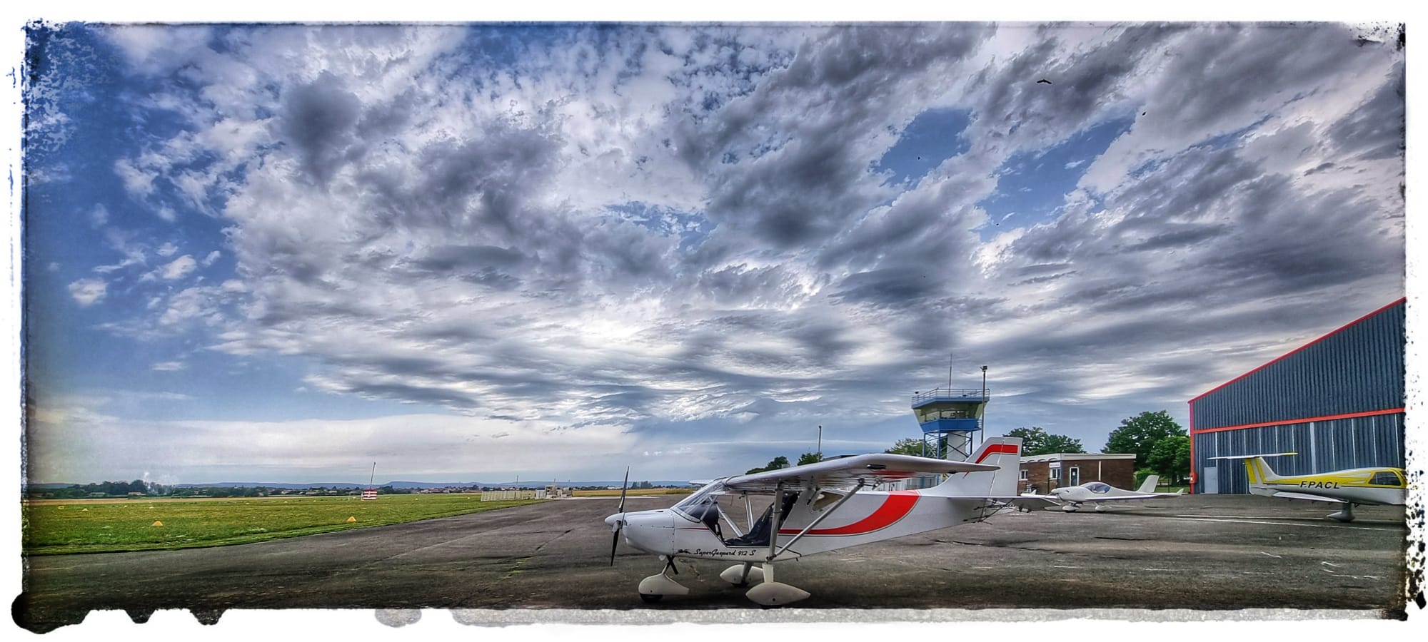 guepard sur le tarmac